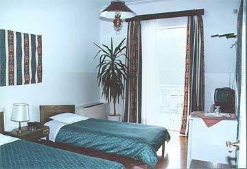 Vouzas Hotel Delphi Bilik gambar